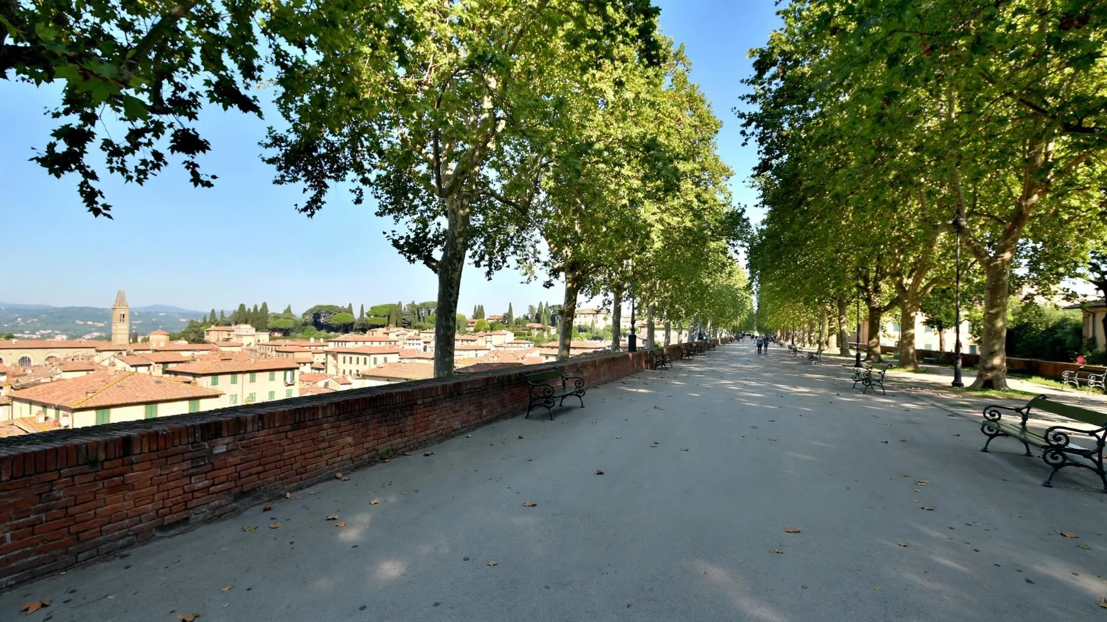 Wide smooth asphalt pathway lined with green plane trees, park benches, and a brick parapet wall atop the Mura di Lucca overlooking Tuscan terracotta rooftops